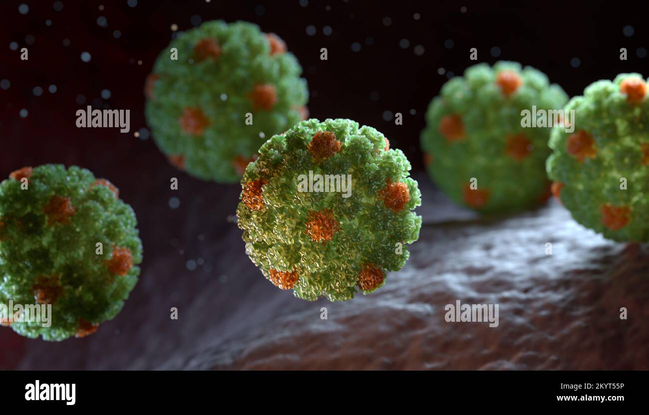 Human Papilloma Virus (HPV) ist ein DNA-Virus aus der Familie der Papillomavirus. 3D illustration Stockfoto