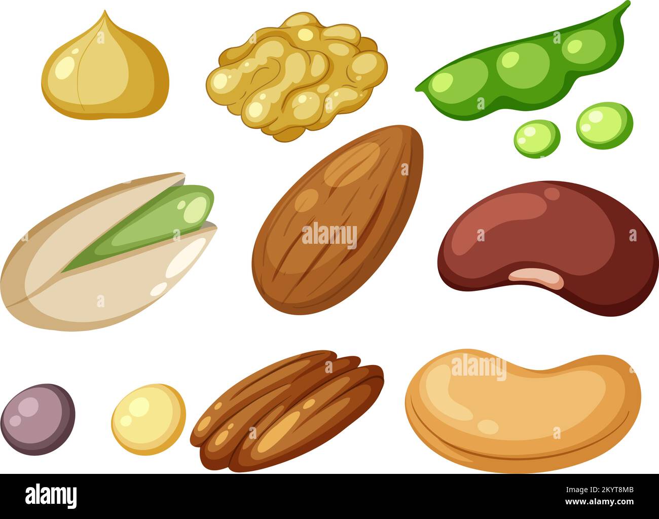 Illustration der Gruppe von Proteinnahrung Stock Vektor