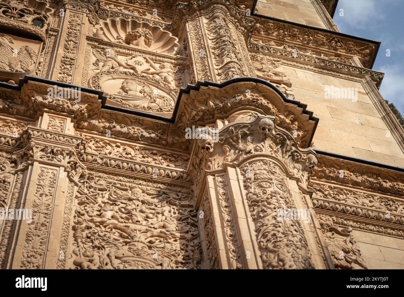 Frosch am Schädel auf Plateresque-Fassade der Universität Salamanca, Spanien Stockfoto