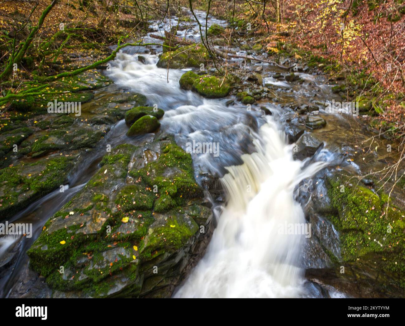 Die Birks Aberfeldy Stockfoto