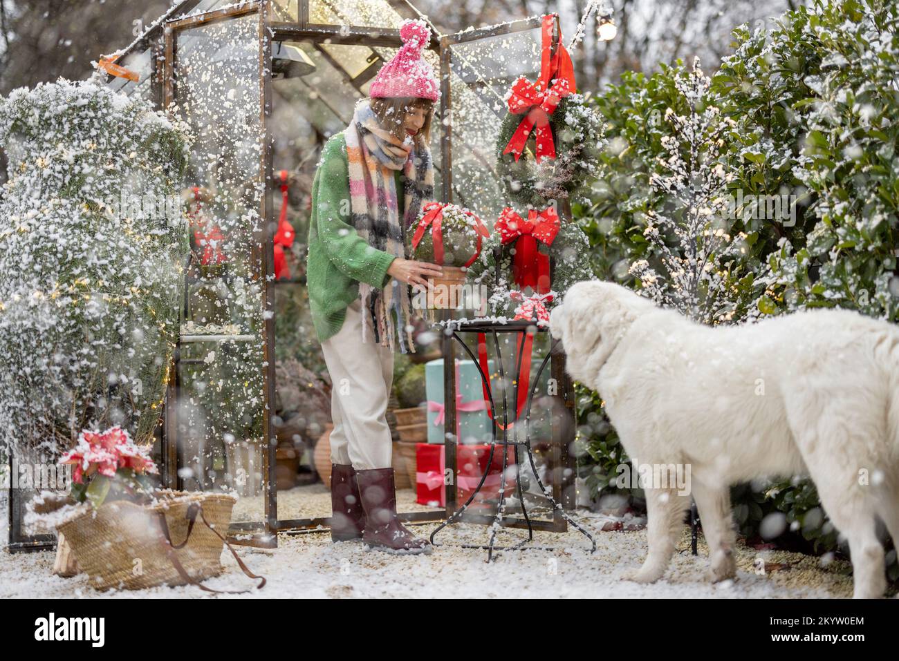 Eine Frau dekoriert den Garten für Winterferien Stockfoto