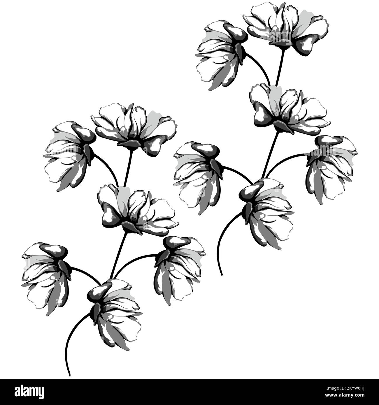 Modernes, nahtloses Muster mit großem Blumenvektor. Hintergrund isoliert. Digital gezeichnete Darstellung. Kann als Textilstoff oder Tapete, Karten, einladend verwendet werden Stock Vektor