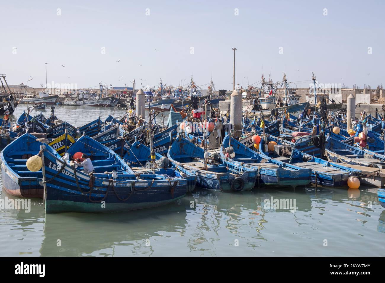 Blaue Fischerboote in der Hafenstadt essaouira an der atlantikküste marokkos Stockfoto