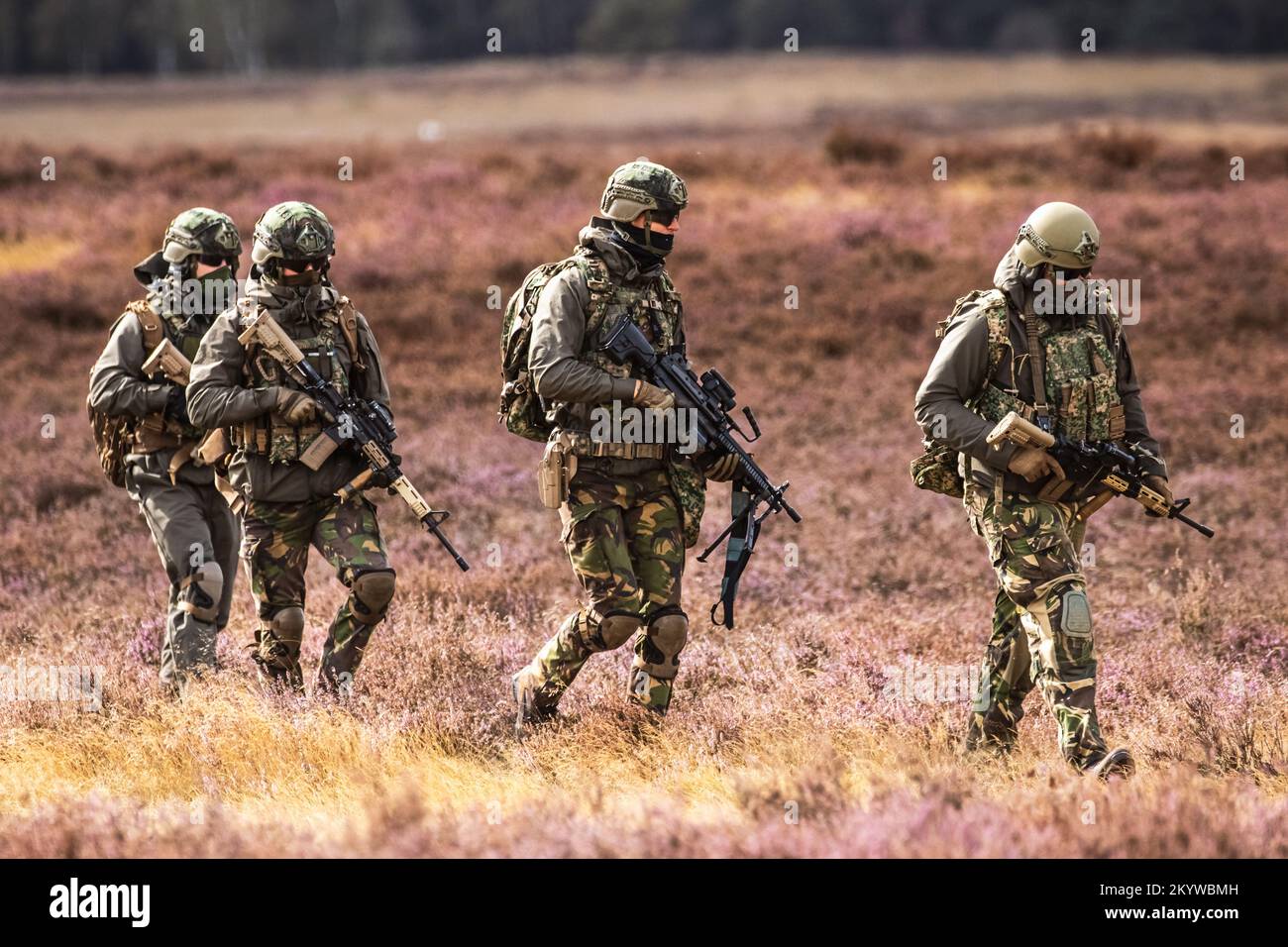 Holländische Soldaten der 11.. Airmobile Brigade gehen nach dem Absetzen während der Übung Falcon Herbst. Veluwe, Niederlande - September17, 2022 Stockfoto