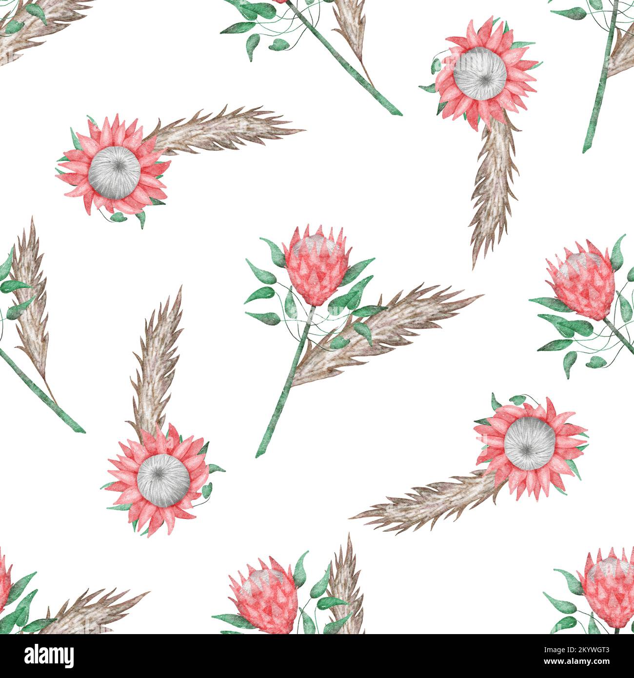 Nahtloses Muster mit Aquarell-protea-Blüten Stockfoto