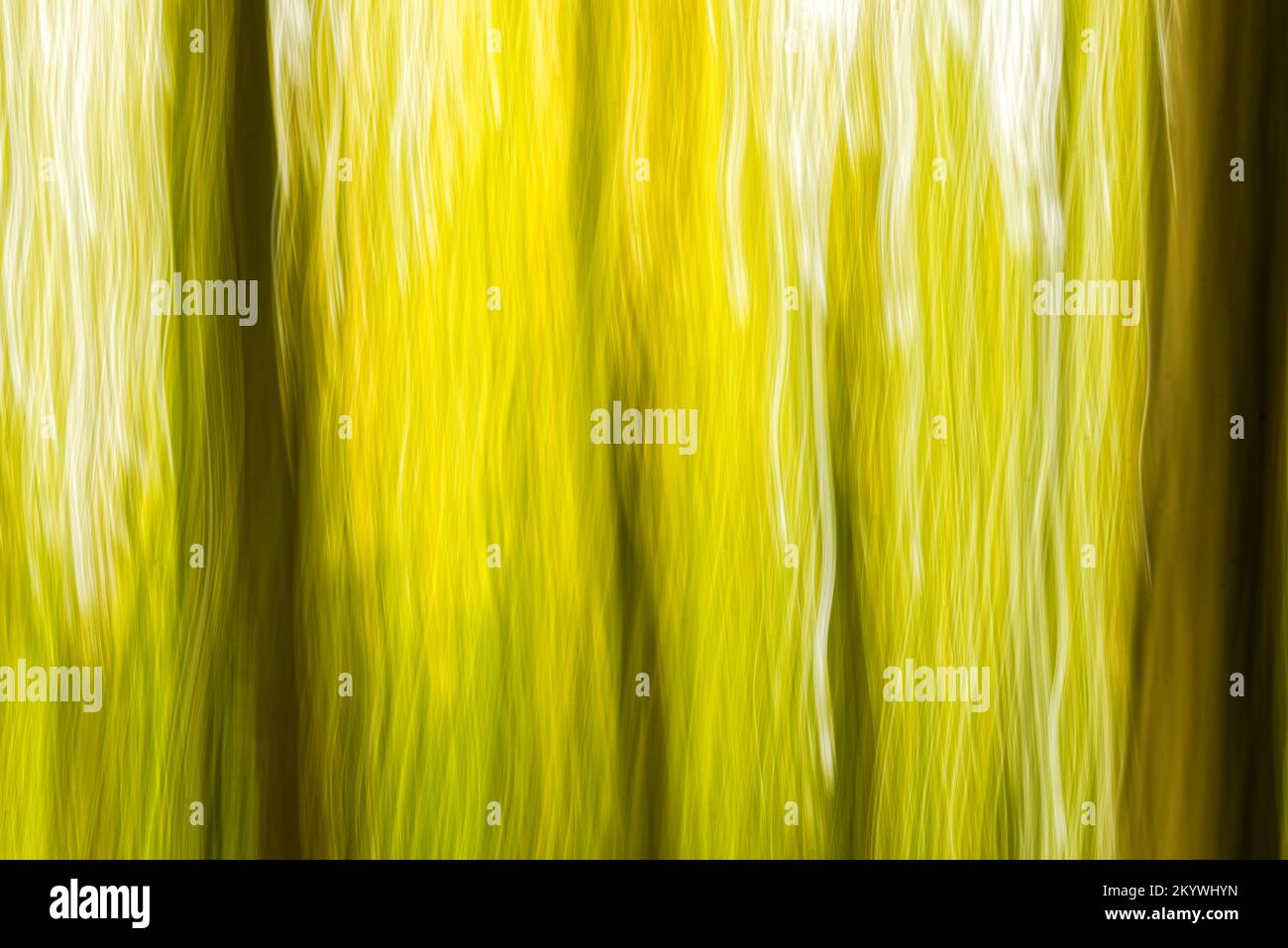 Absichtliche Kamerabewegung Stockfoto
