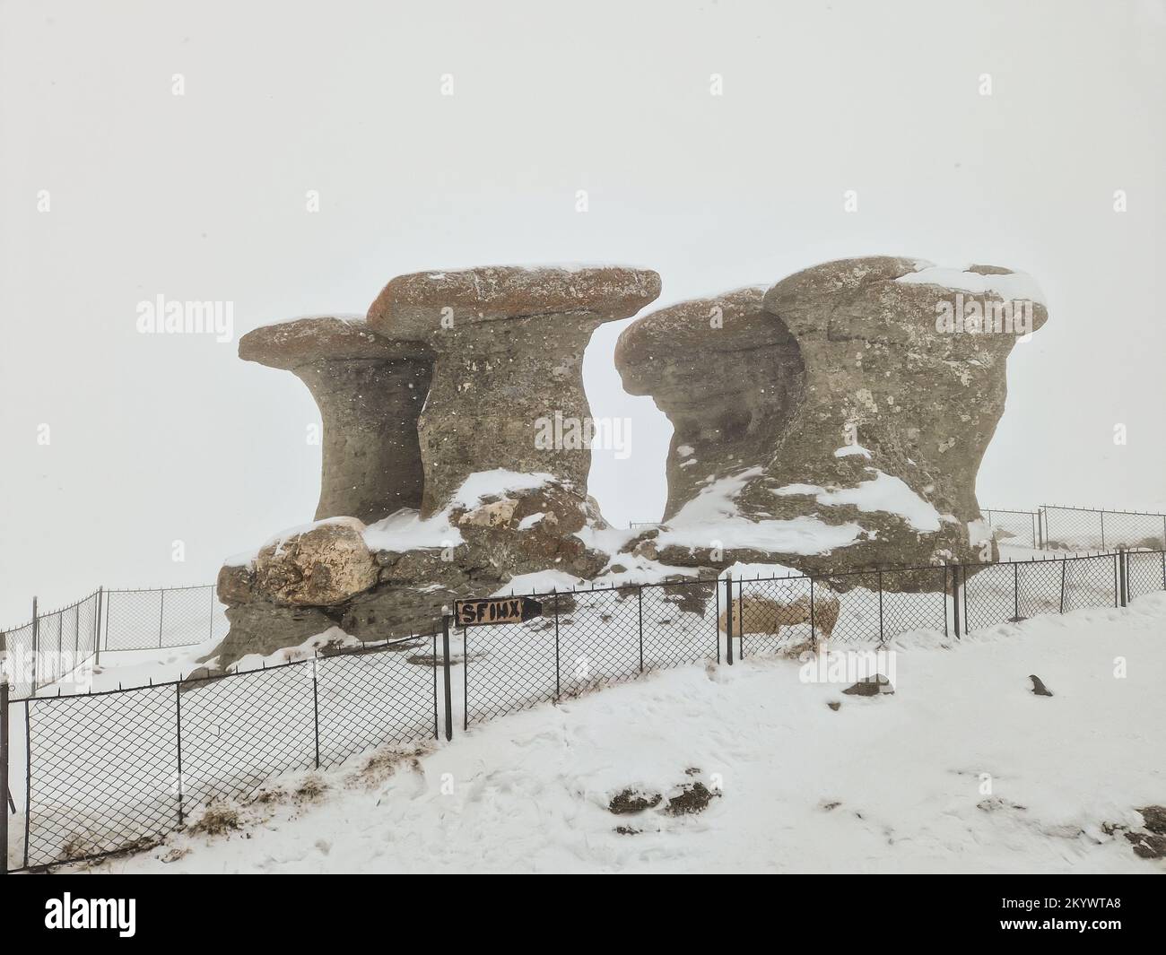 Babele (die alten Damen) Steingruppe, eine natürliche Felsformation im Naturpark Bucegi, im Bucegi-Gebirge Rumäniens, während eines Schneesturms auf einem Stockfoto