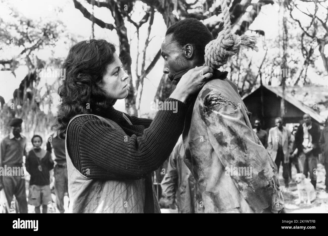 Sigourney Weaver, Drehort des Films "Gorillas in the Mist", Warner Bros., 1988 Stockfoto