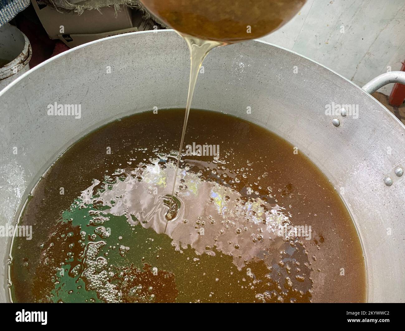 Versiegelte Honigbienenbrut in Bienenstöcken von Imkern in Bienenstöcken Nursebienen am Rahmen der Bienenwachs- und Propolis-Kolonie. Hochwertiges Foto Stockfoto