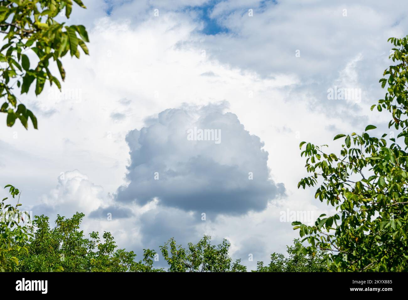 Eine kleine schwarze Wolke am weißen Himmel wird von den Zweigen grüner Bäume eingerahmt. Stockfoto