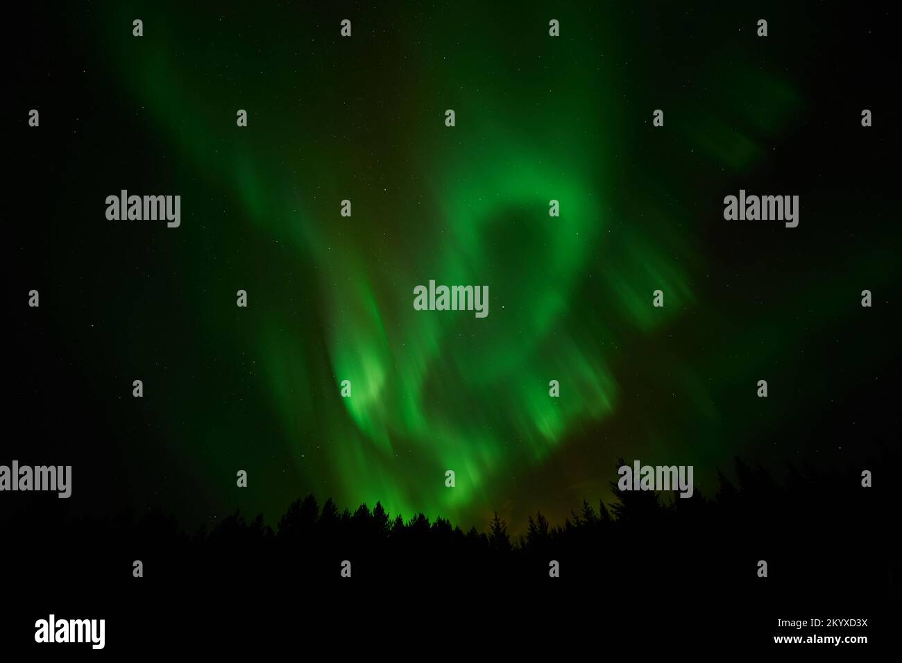 Ein fantastisches Foto der Nordlichter Stockfoto