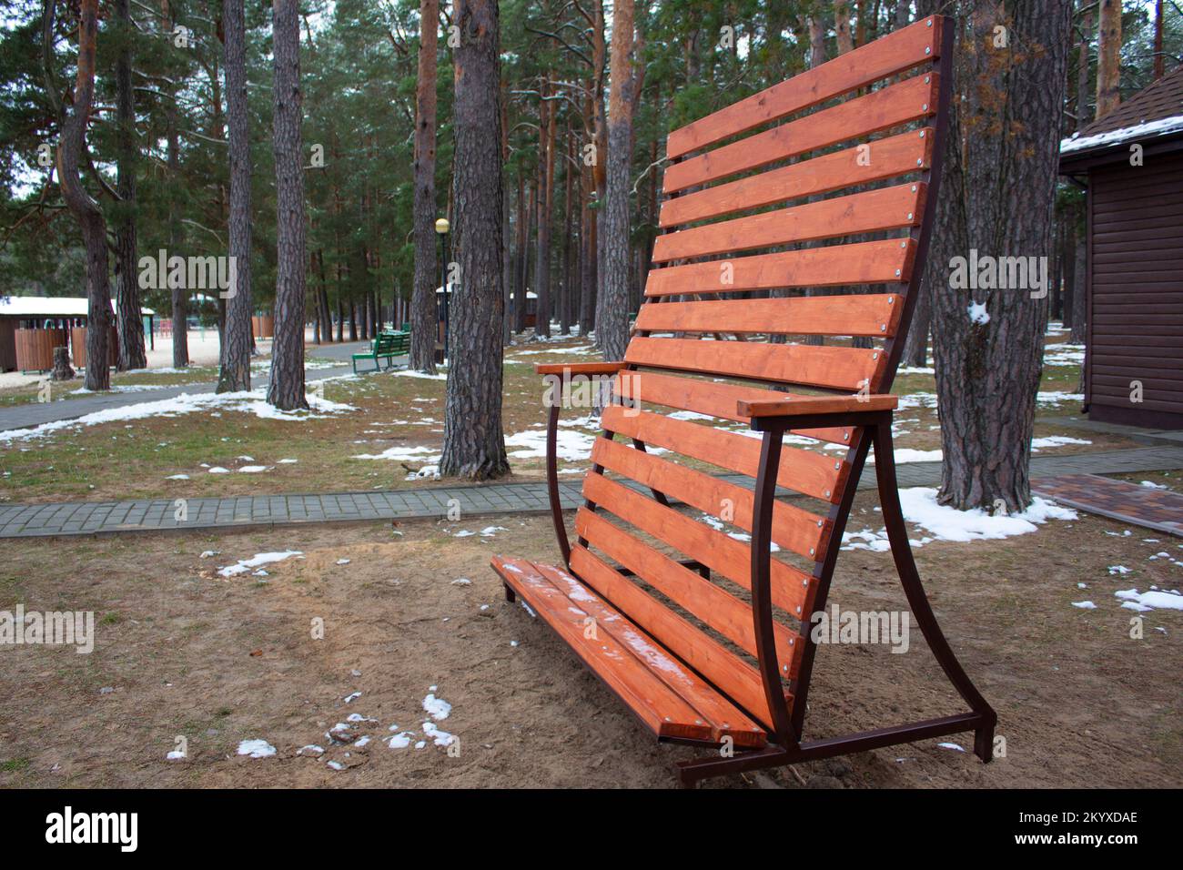 Ein hölzerner vertikaler Liegestuhl befindet sich in einem Pinienwald. Liegestuhl aus Holz zum Stehen und Sonnenbaden. Wintertag in einem Erholungsgebiet in einem Pinienwald. Stockfoto