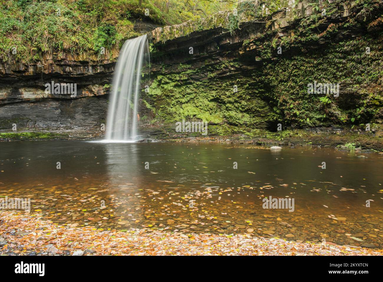 Scwd Gwladys Falls im Tal von Neath im Herbst Stockfoto