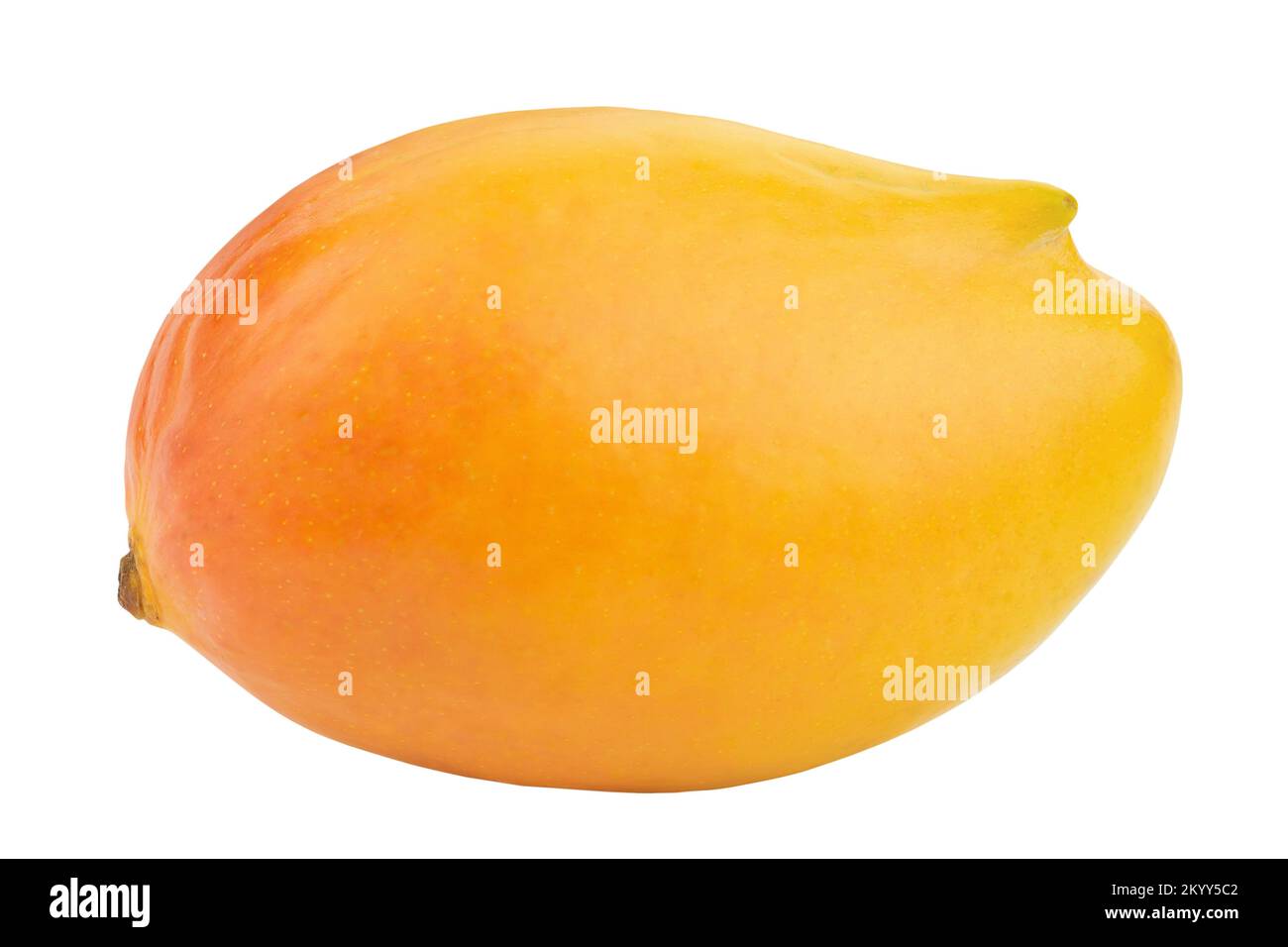 Köstliche reife Mango isoliert auf weißem Hintergrund. Exotische Früchte. Datei enthält Beschneidungspfad. Stockfoto