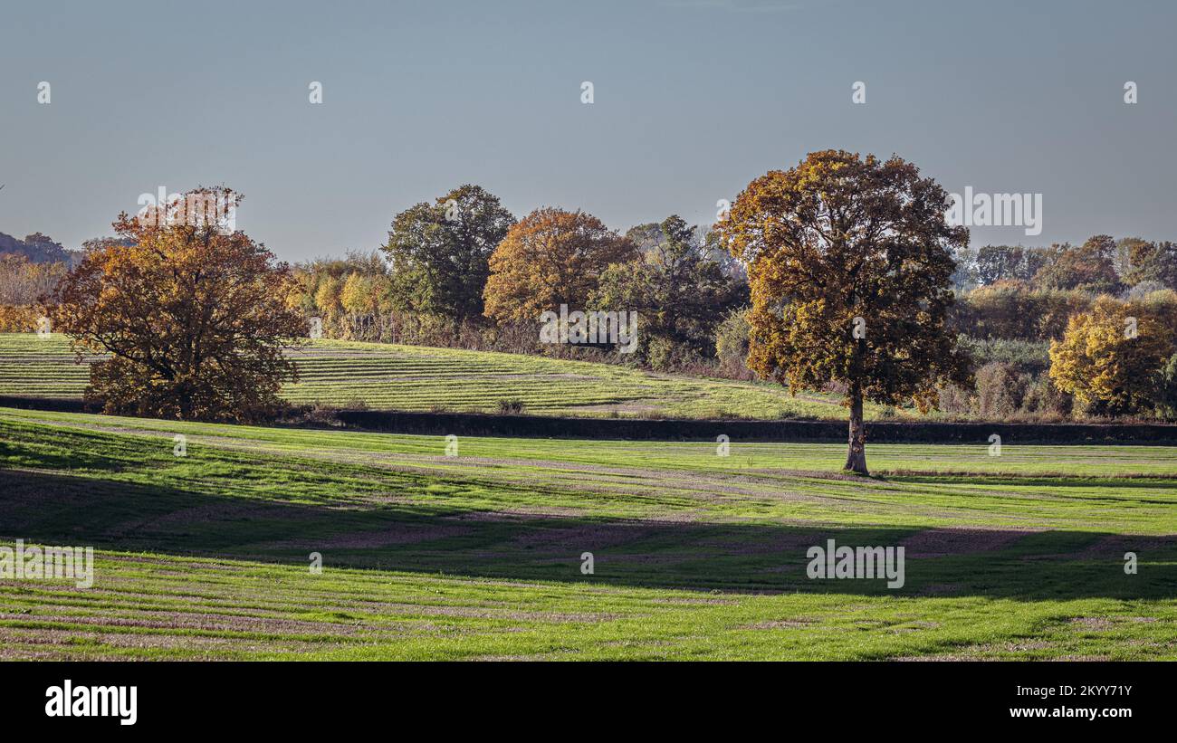 Kentish Farmland mit Herbstfarben Stockfoto