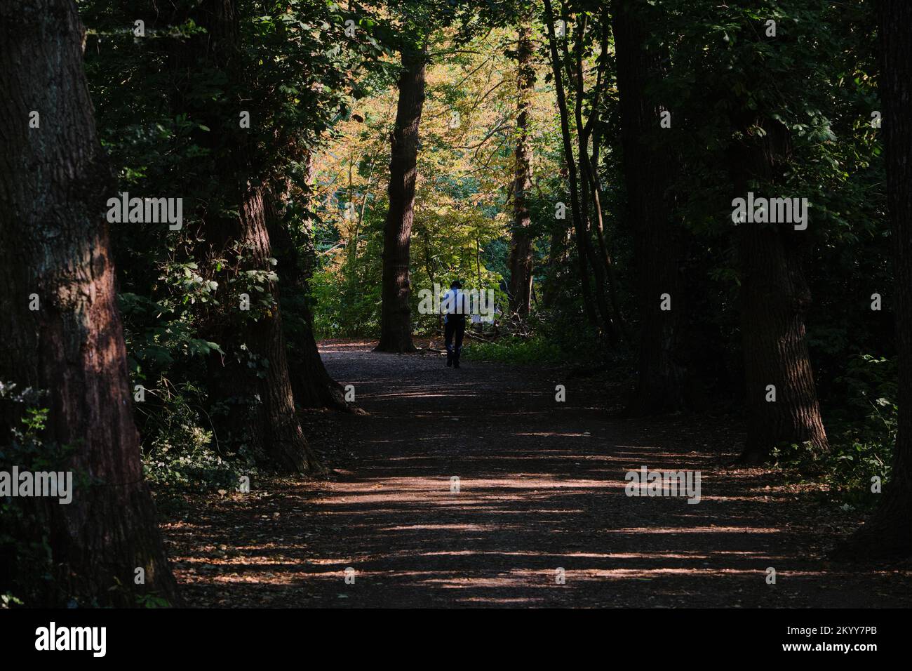 An einem heißen Sommertag spazieren ein Paar im Schatten der Bäume, die an einen Pfad im Wanstead Park, London, Grenzen, und nutzen die Kühle. Stockfoto