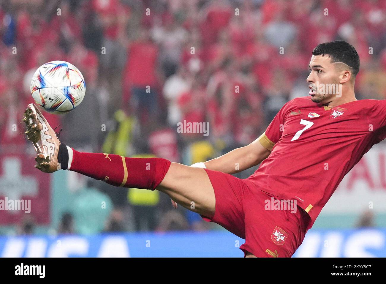 Doha, Katar. 2.. Dezember 2022. Nemanja Radonjic aus Serbien tritt während des Group-G-Spiels zwischen Serbien und der Schweiz bei der FIFA-Weltmeisterschaft 2022 im Stadium 974 in Doha, Katar, am 2. Dezember 2022 an. Kredit: Zheng Huansong/Xinhua/Alamy Live News Stockfoto