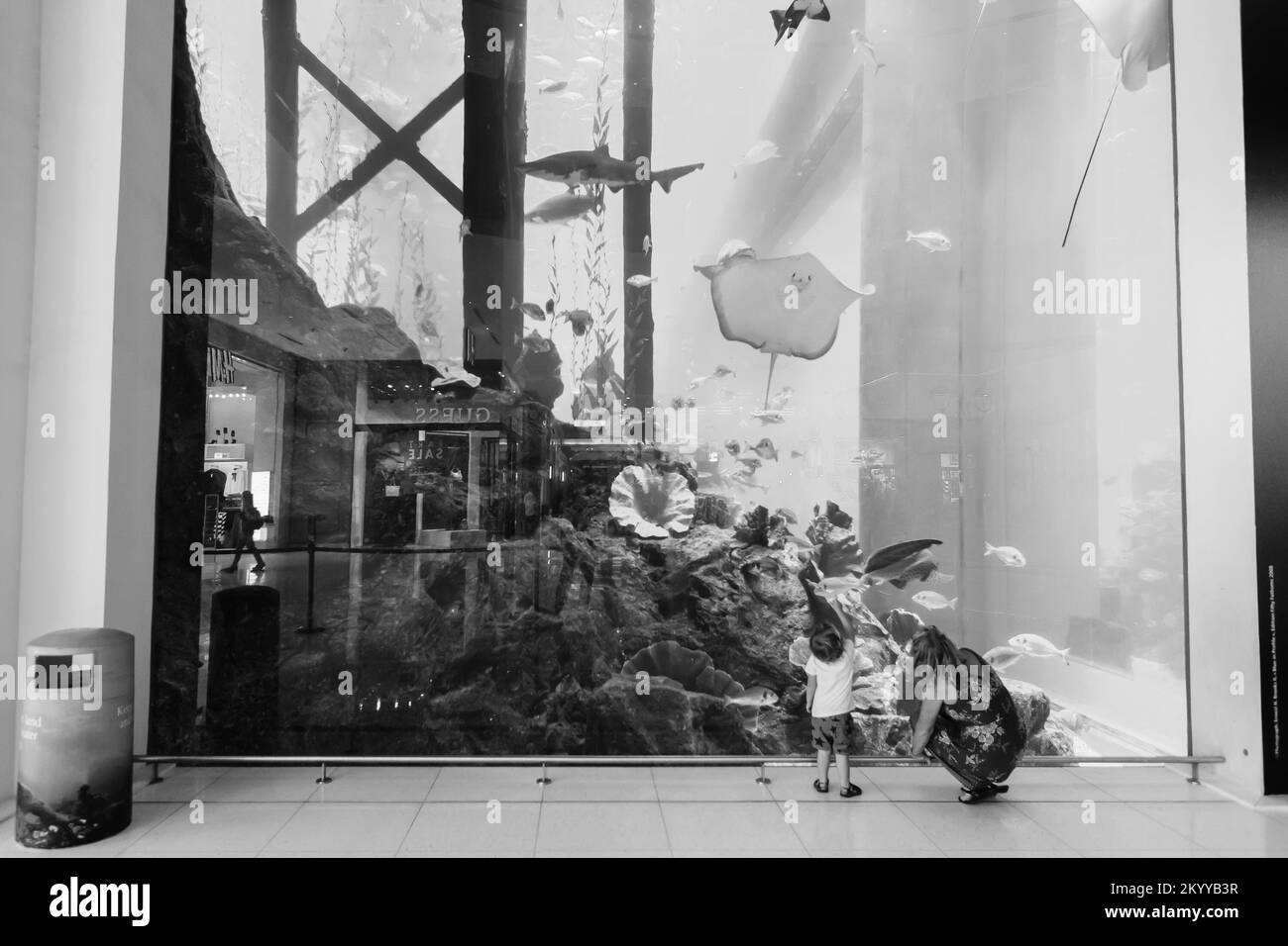 DUBAI - 15. OKTOBER 2014: Im Inneren der Dubai Mall. Die Dubai Mall befindet sich in Dubai und ist Teil des 20 Milliarden Dollar teuren Downtown Dubai Komplexes, und Stockfoto