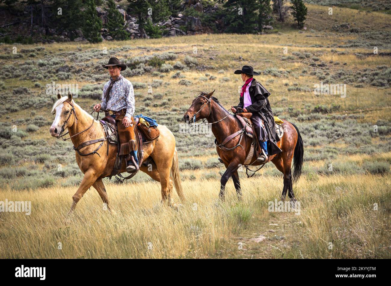 Cowboys und Pferde in Wyoming Stockfoto