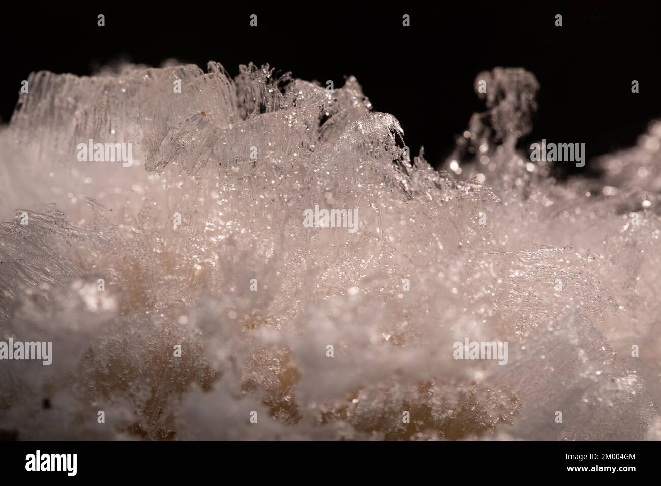 Haare Eisfrucht Körper weiß wellige Eisnadeln auf dem Ast Stockfoto