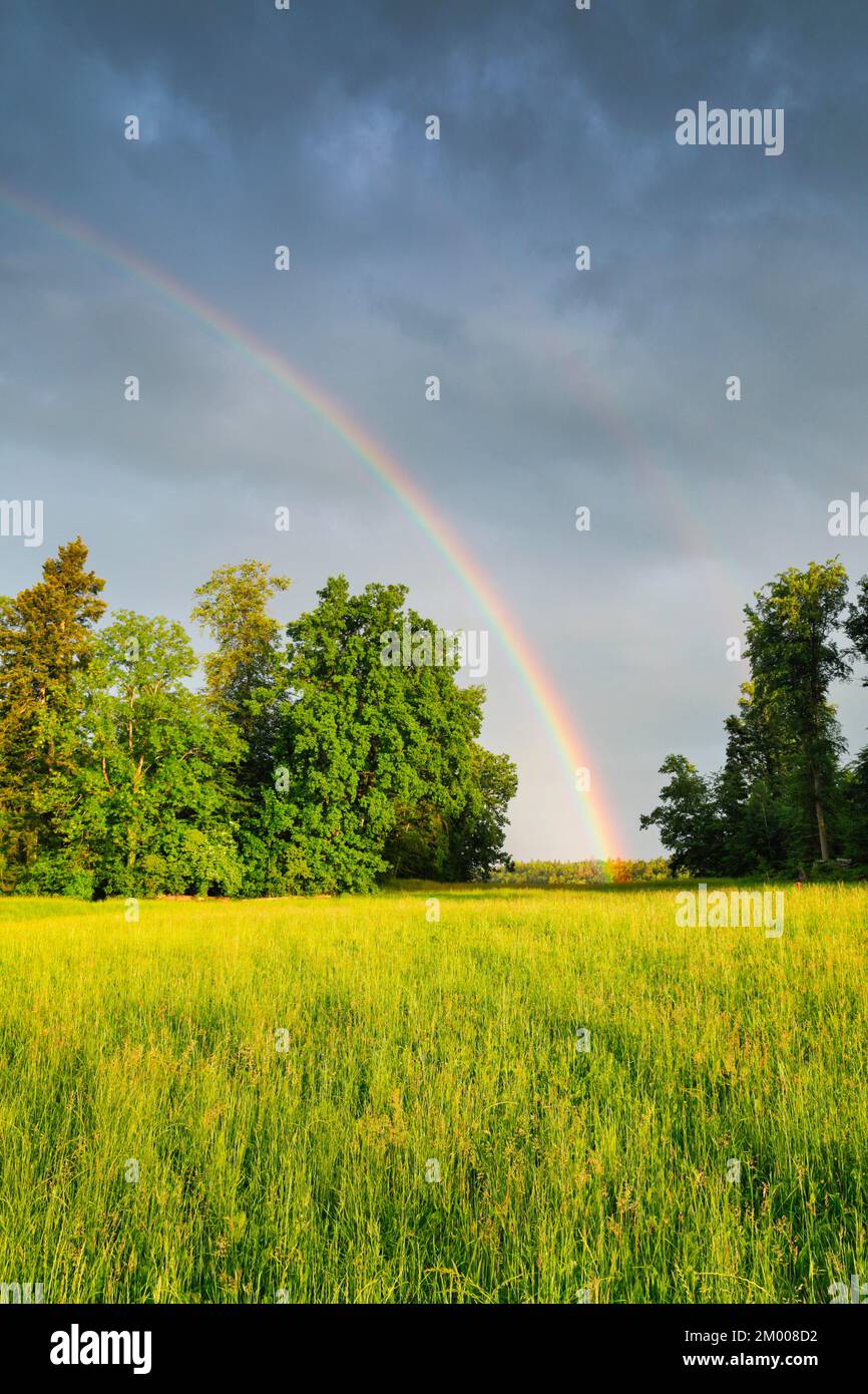 Abendliche Gewitteratmosphäre mit doppeltem Regenbogen über üppig grünen Mischwäldern im Züricher Oberland, Zürich, Schweiz, Europa Stockfoto