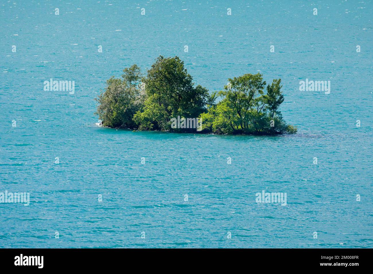 Kleine Schnittlauch-Insel im türkisfarbenen Wasser des Lake Walen, Canton St. Gallen, Schweiz, Europa Stockfoto