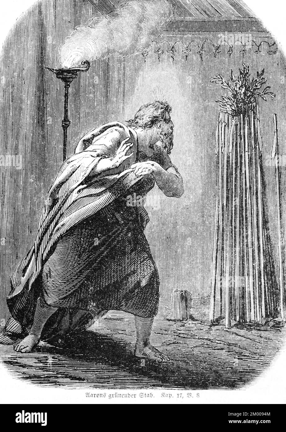 Aarons grüner Stab, Mandelzweig, Haus Levi, Blüte, Morgen, Moses, Aaron, grün, Mandeln, Altes Testament, Genesis, Viertes Buch Moses, ch Stockfoto