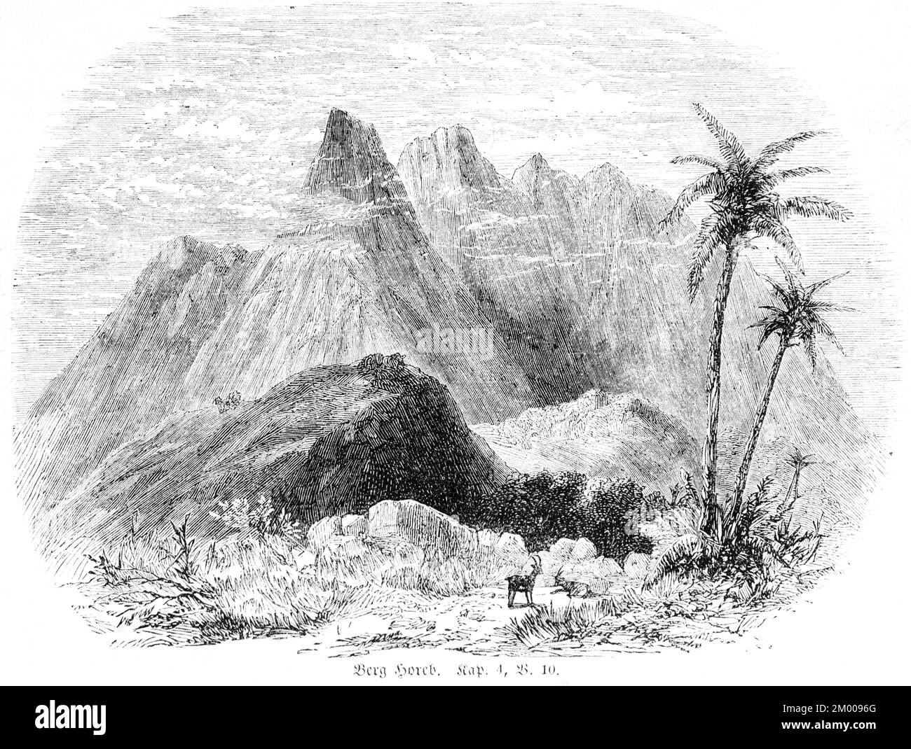 Mount Horeb, Sinai, Moses Mountain, Landschaft, Berge, Palmen, Vegetation, Gott, Bibel, Altes Testament, Buch 5 von Moses, Kapitel 4, Vers 10 Stockfoto