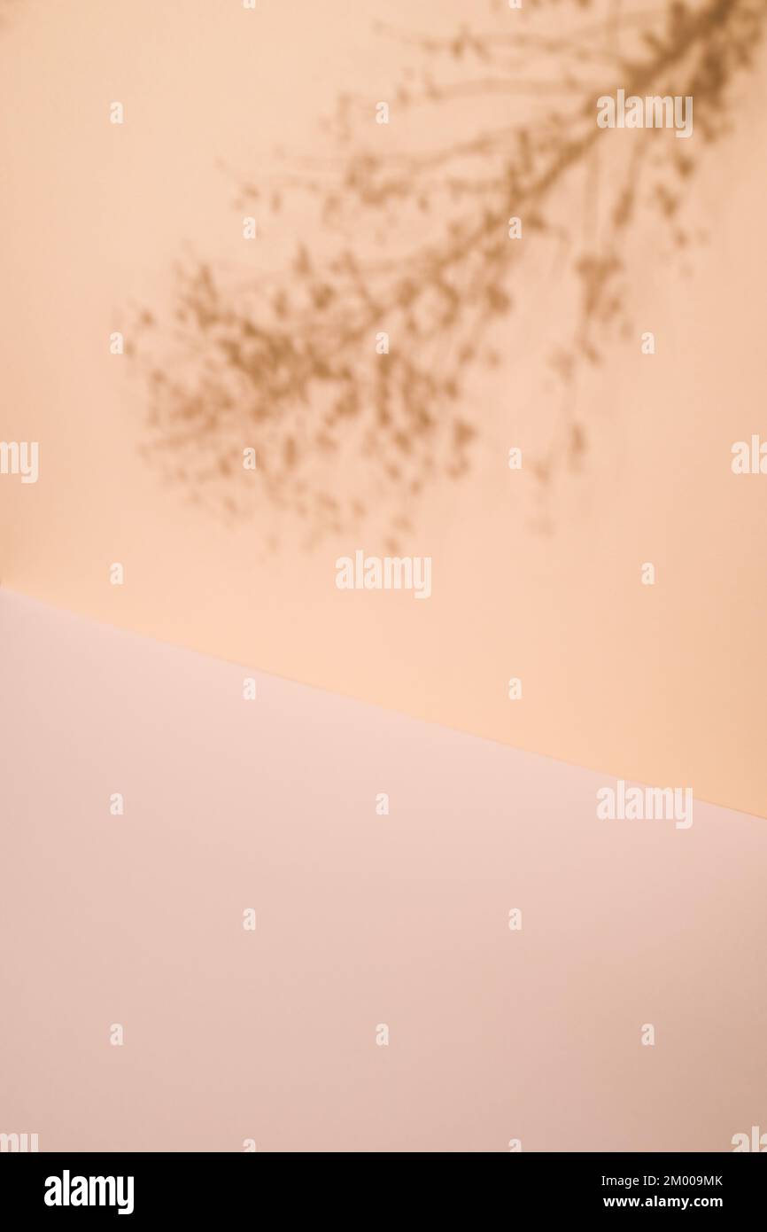 Abstrakter Hintergrund mit Kopierbereich. Schatten aus einem Zweig einer flauschigen Pflanze auf beigefarbenem Hintergrund. Stockfoto