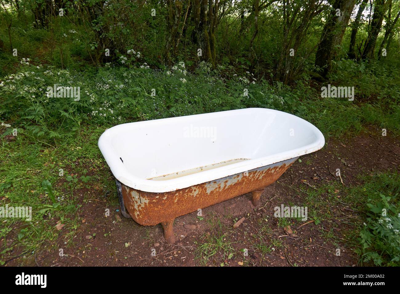 Eine alte Badewanne gefüllt mit trübem Wasser auf einem Feld Stockfoto
