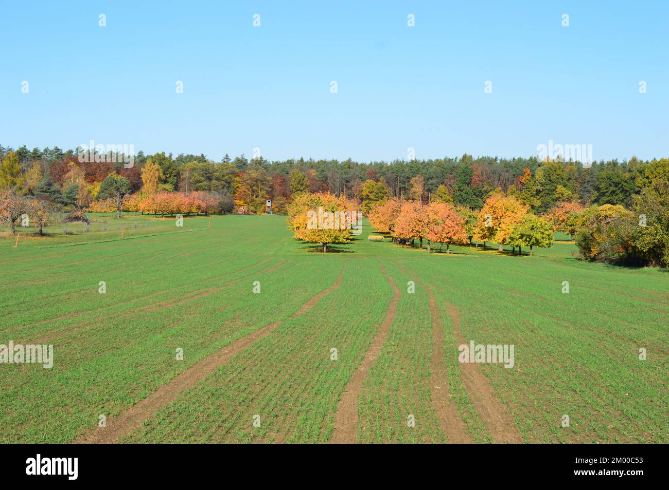 Kalchreuth Stockfoto