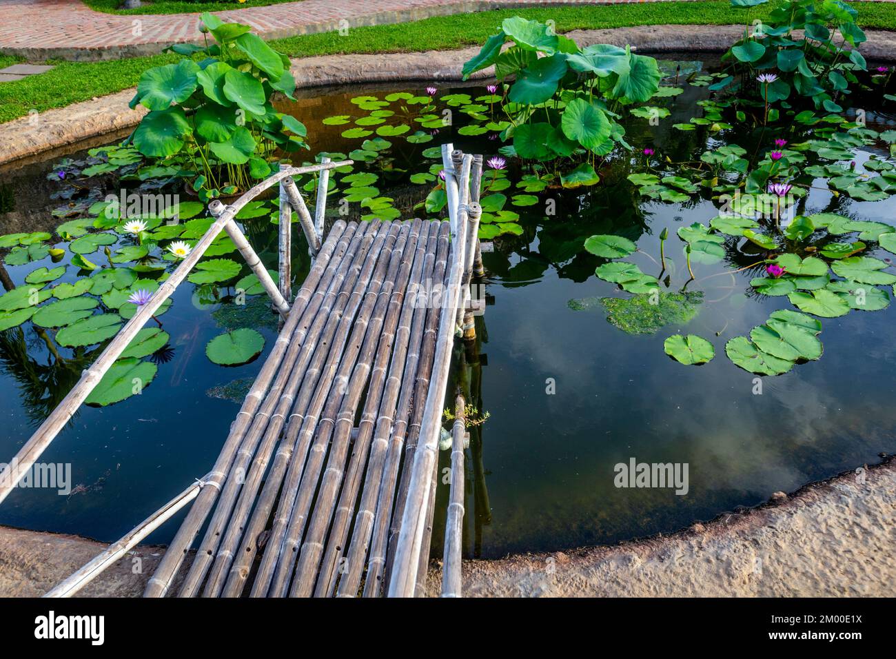 Eine kurze Brücke aus Bambusstangen führt über einen kleinen Teich in Vietnam. Stockfoto