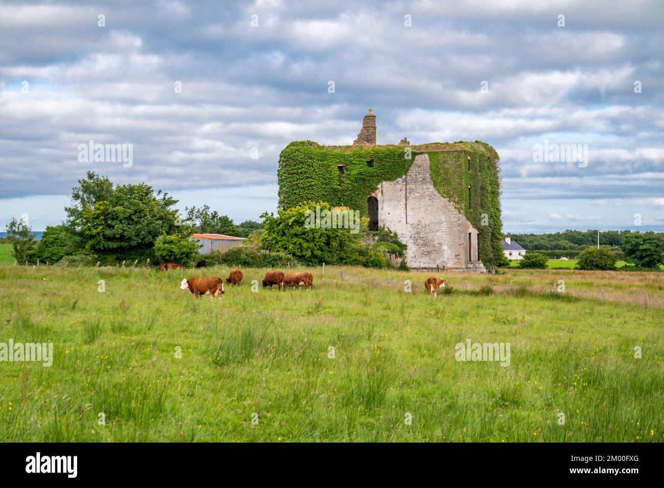 Deel Castle, im irischen Caislean na Daoile, wurde im 16.. Jahrhundert erbaut - County Mayo, Irland. Stockfoto