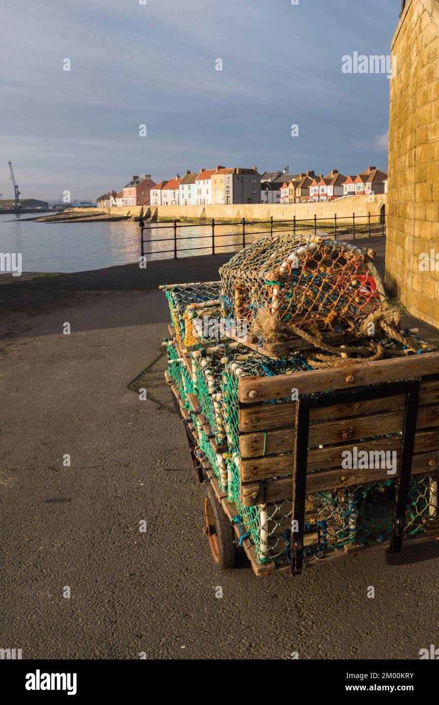 Die Strandpromenade und georgianische Terrassenhäuser im Headland in Old Hartlepool, England, Großbritannien und Hummerkrebse im Vordergrund Stockfoto