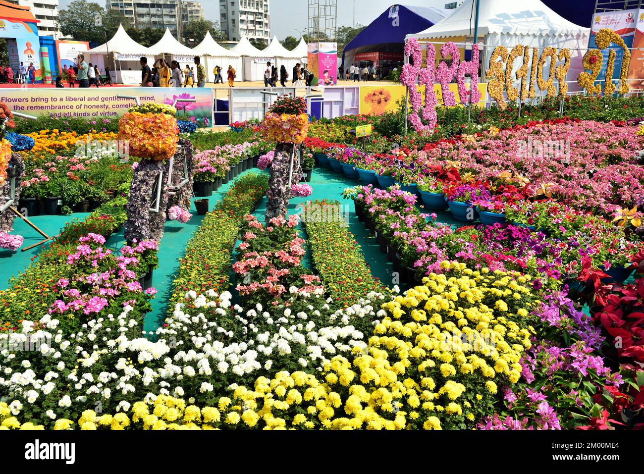 Blumenausstellung, Surat, Gujarat, Indien, Asien Stockfoto