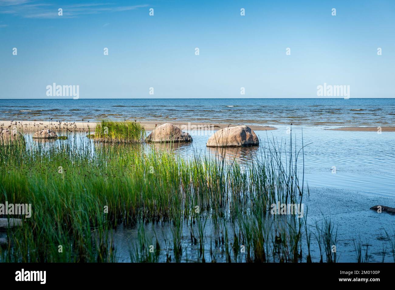 Schilf an der Ostsee mit Felsbrocken an einem sonnigen Tag. Ruhnu Island, Estland. Stockfoto