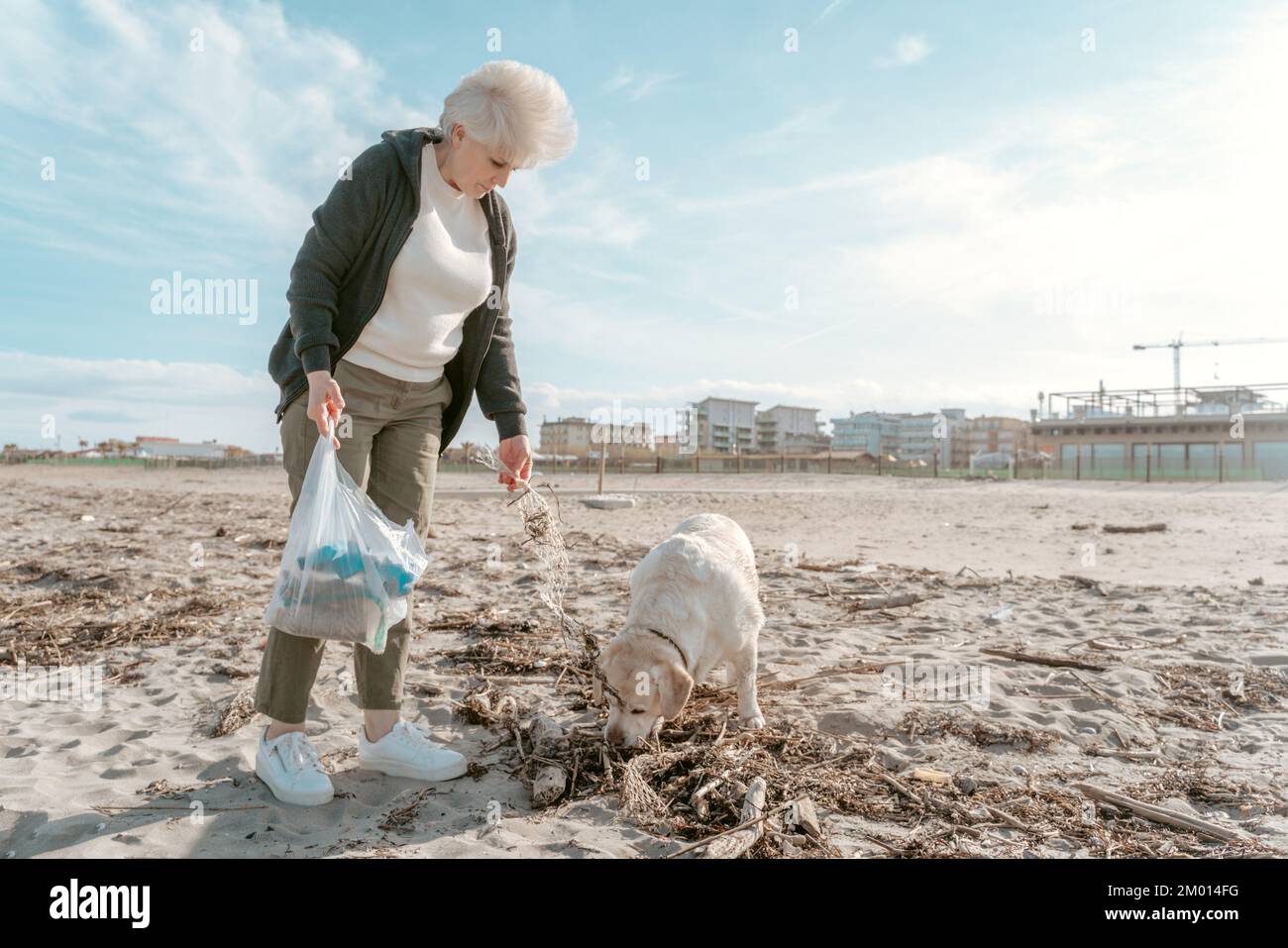 Ernsthafte, konzentrierte weibliche Umweltaktivistin und ihr Haustier sammeln Müll am Sandstrand. Stockfoto