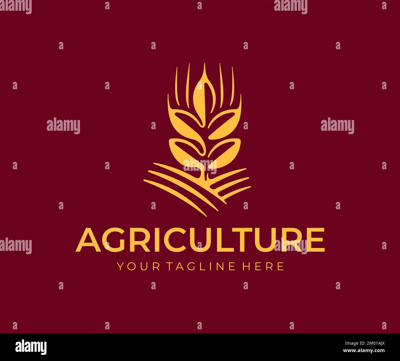 Weizenohren oder Stacheln mit Körnern, Vollkorn und Getreidekörnern, Logo-Design. Landwirtschaft, Getreideernte, Landwirtschaft, gesunde Lebensmittel und Bäckerei Stock Vektor