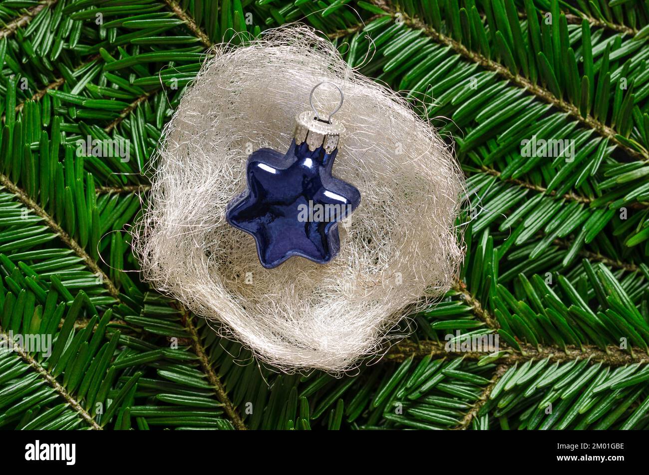 Blauer Glasstern, in einem silberfarbenen, weißen Engelsnest, über frischen grünen Tannenzweigen. Sternförmige Glaskugel zum Aufhängen an einem Weihnachtsbaum. Stockfoto