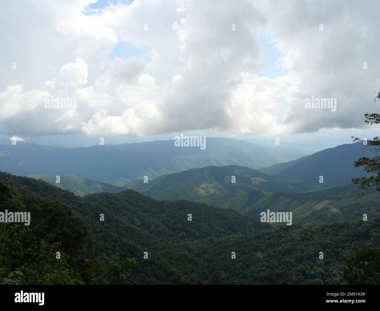 Wolken und Nebel bedecken Berge, Dunst im Tal mit grünem Wald und Felsen im PUA District, Provinz Nan, Thailand Stockfoto