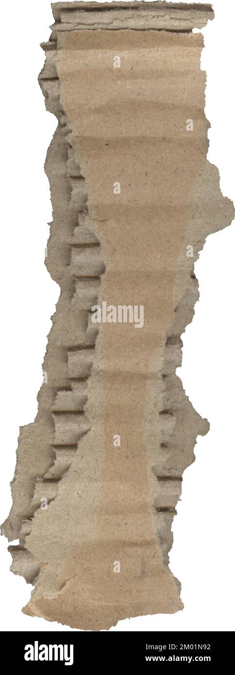 Zerrissene Pappstrukturen, ein Stück Papppapier Stockfoto