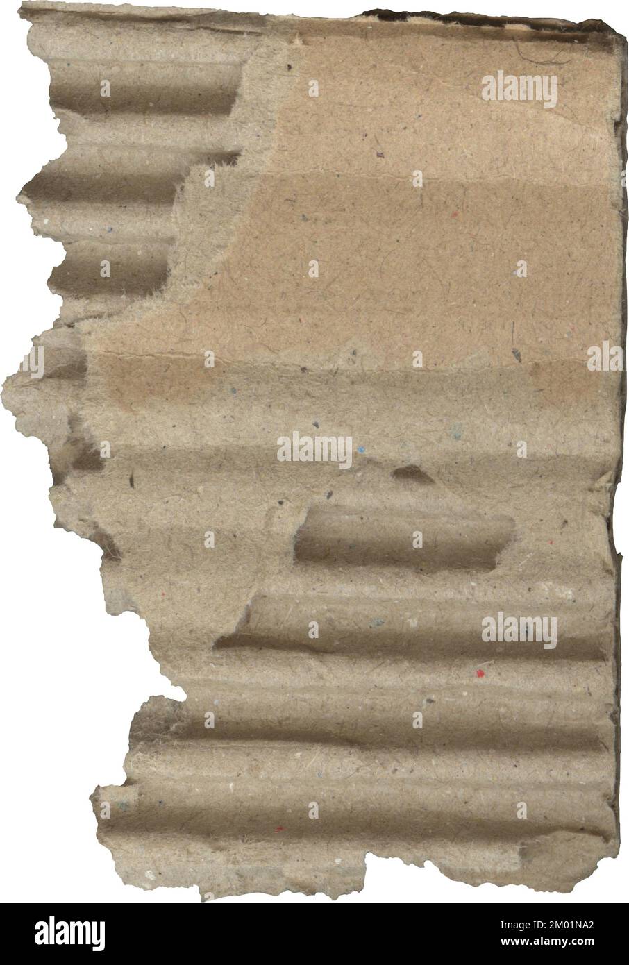 Zerrissene Pappstrukturen, ein Stück Papppapier Stockfoto