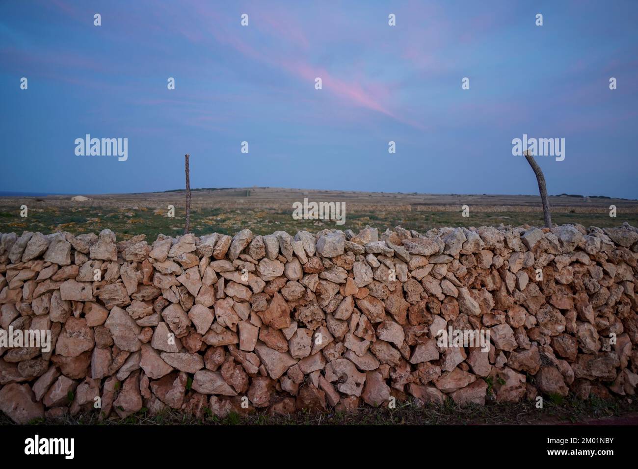 Trockene Steinmauern auf Menorca nahe Punta Nati, markieren Sie die Felder, Balearische Insel Menorca, Spanien. Stockfoto