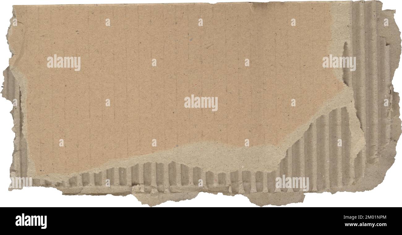 Zerrissene Pappstrukturen, ein Stück Papppapier Stockfoto