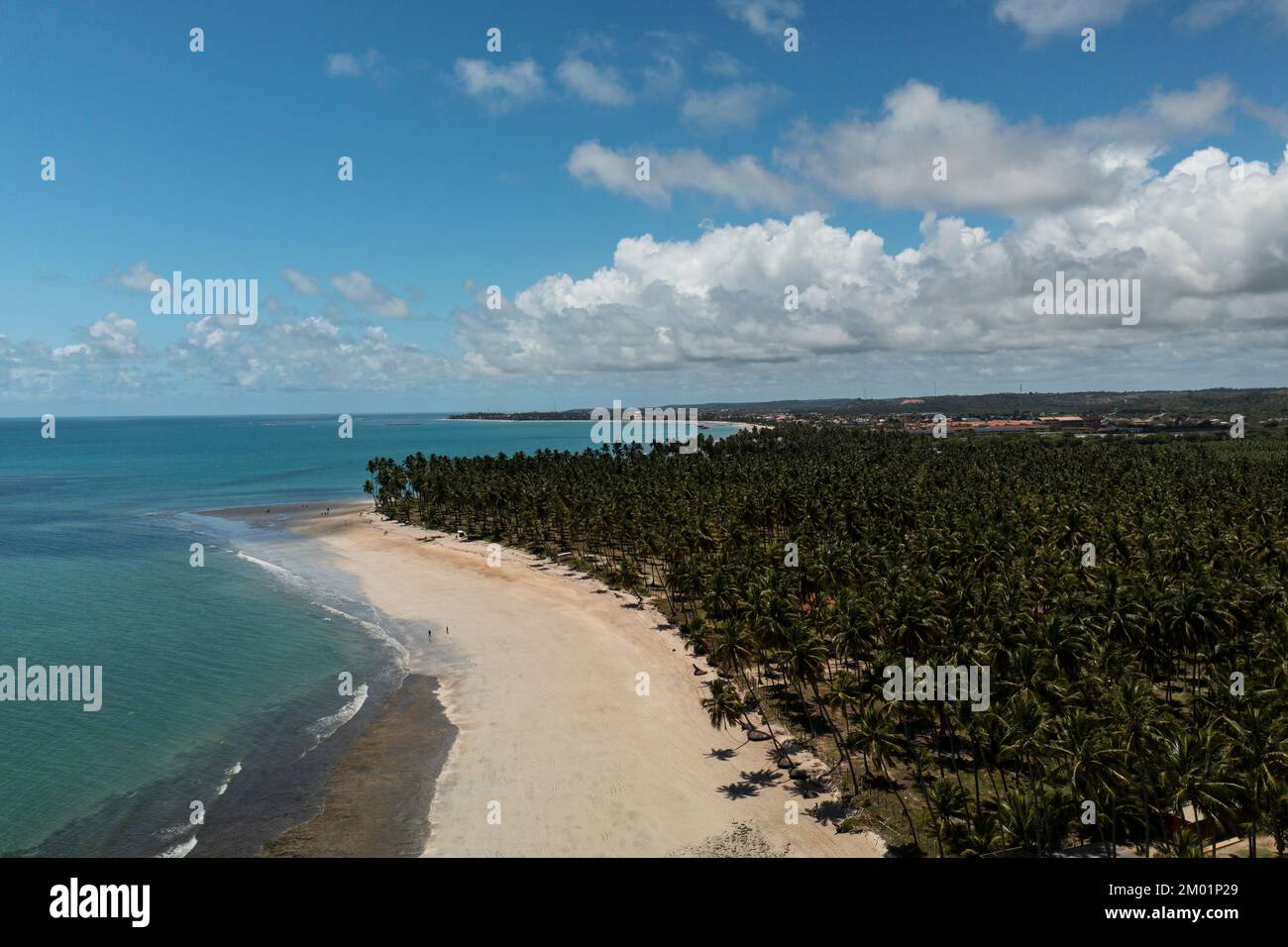 Kokospalmen, Strand Sand und blaues Meer an sonnigen Tagen - Blick auf die Drohne Stockfoto