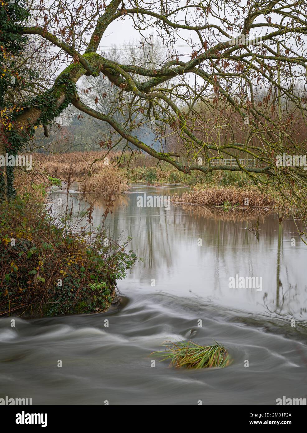 Melford Country Park im Herbst. Bunte Herbstbäume. Stockfoto