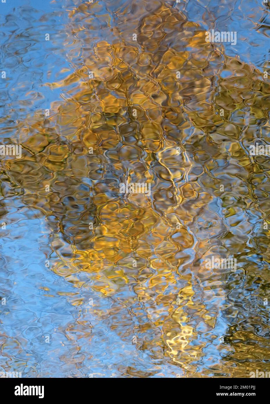 Abstraktes Foto eines Waldlands im Herbst mit Farbtönen und Farbtönen, die sich im Teich in Cannock Chase Forest AONB widerspiegeln Stockfoto