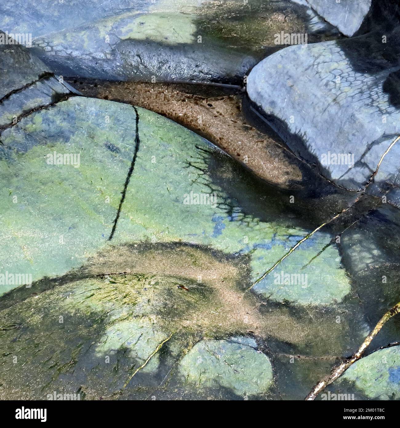 Naturfoto der Meeresgeologie mit zufälligen Mustern, Textur und Form, mit einer dezenten Farbpalette in einem halbabstrakten Stil an der Cardigan Bay Stockfoto