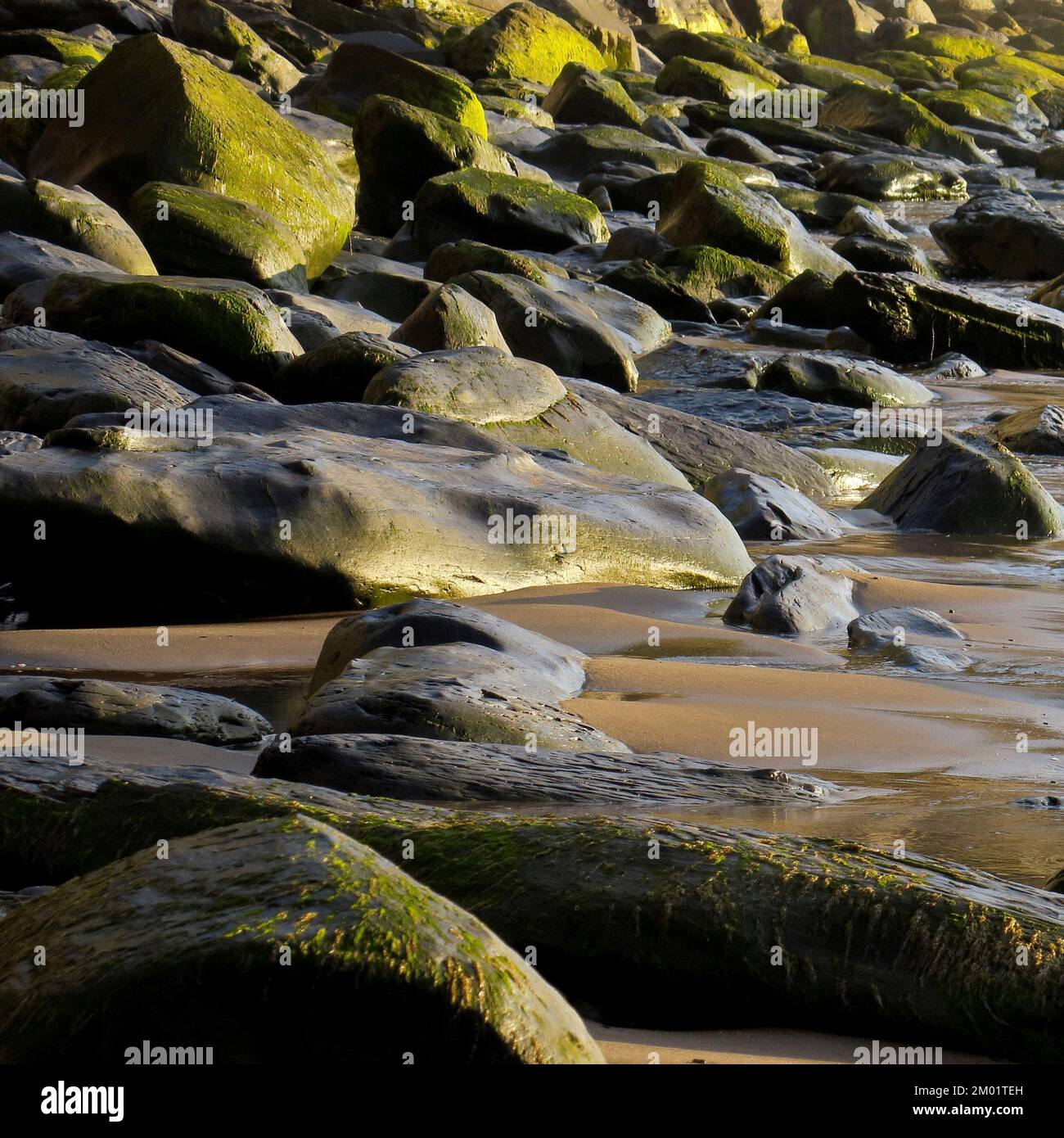 Farbfoto von Felsen an der Küste am Strand, einige geglättet und abgerundet durch die Zeit und die Flut mit Steinpflaster und Kieseln Stockfoto