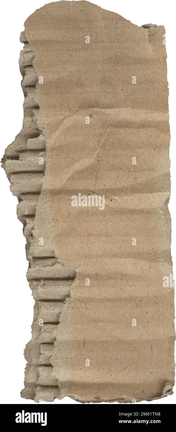 Zerrissene Pappstrukturen, ein Stück Papppapier Stockfoto